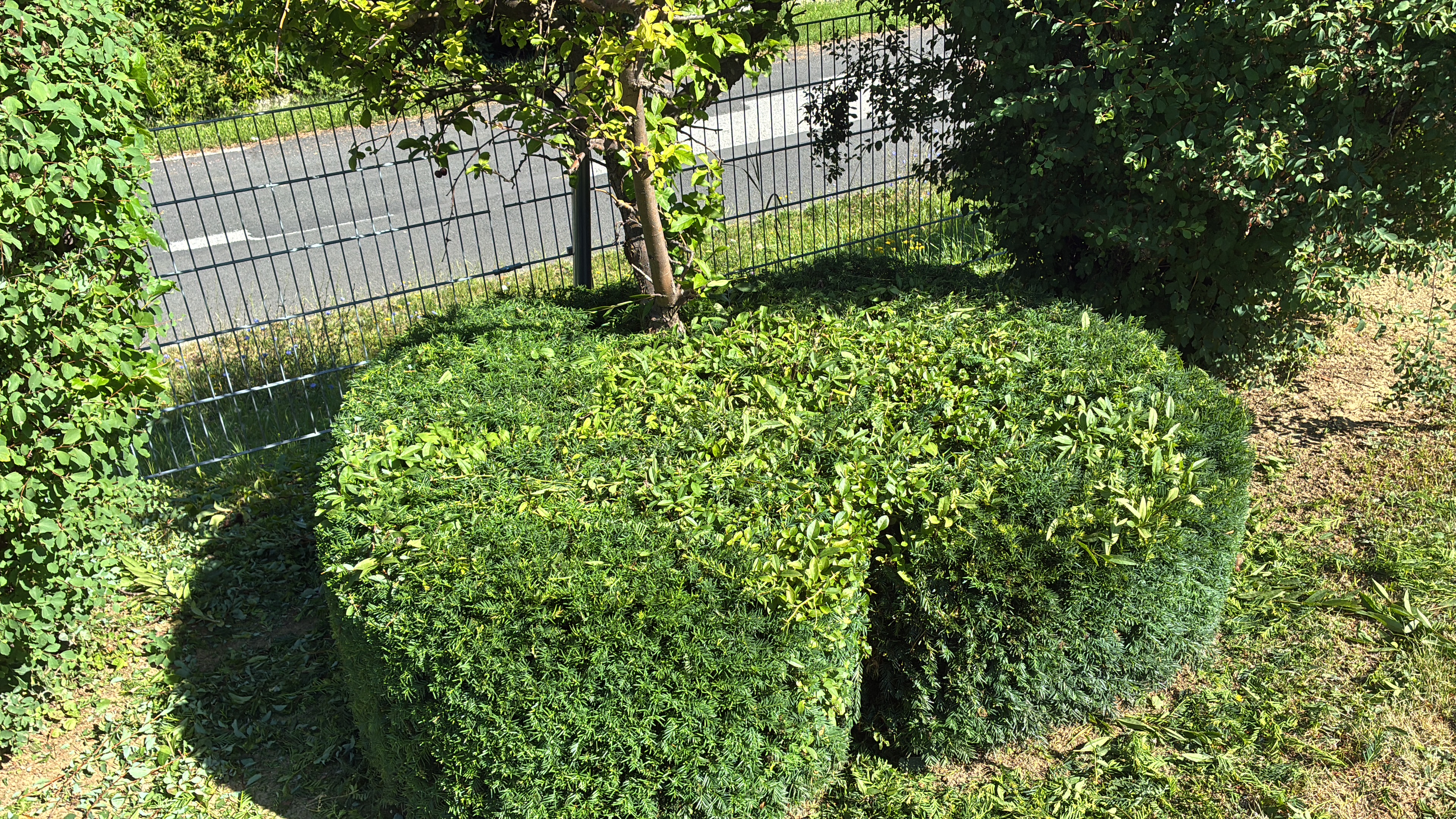 Gartenarbeit
